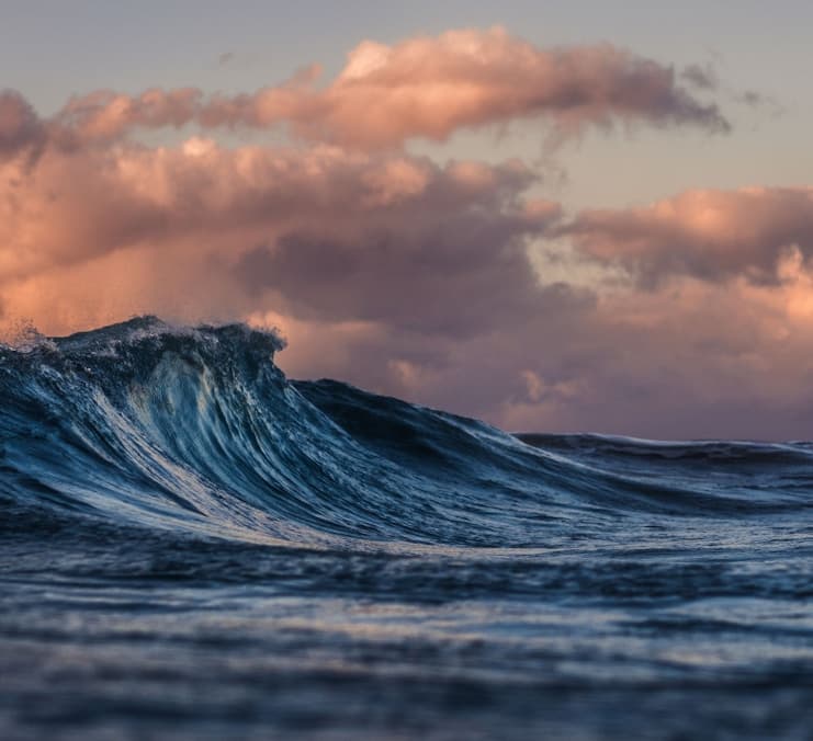 Feast of Sto. Tomas de Aquinas
