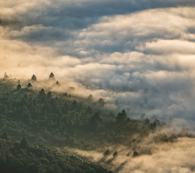 Feast of our Lady of Lourdes