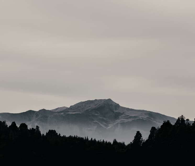 Akus Festival Foundation Day