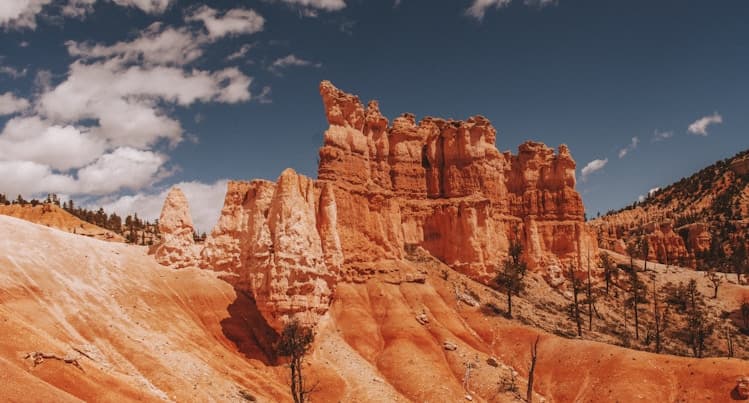 Feast of Saint Joseph