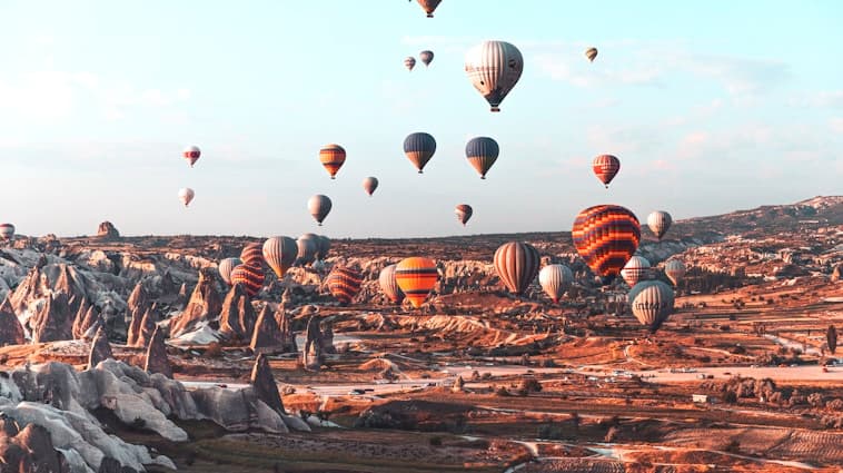 Harvest Season for Garlic