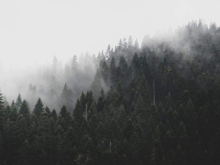 Kapayvanuvanua pre-fishing season ritual