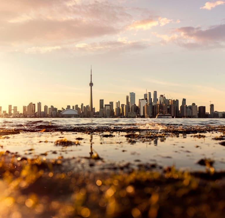 Feast of Sto. Tomas de Aquinas