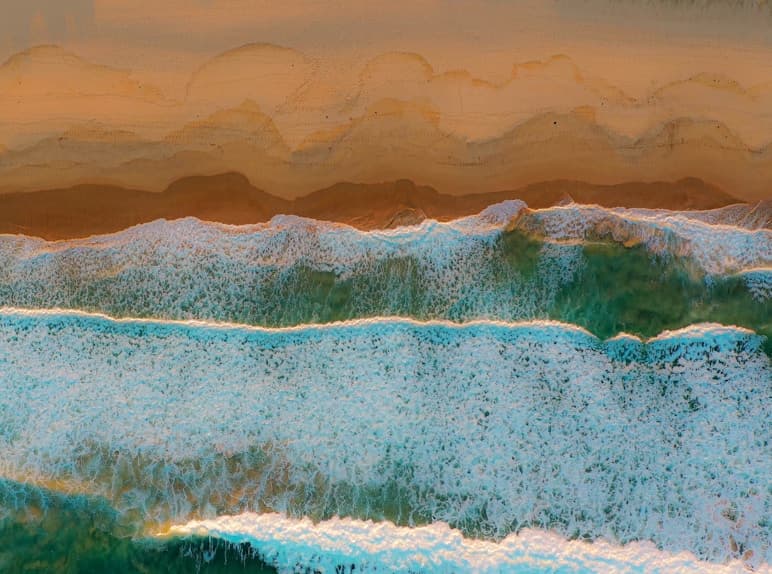 Harvest Season for Garlic