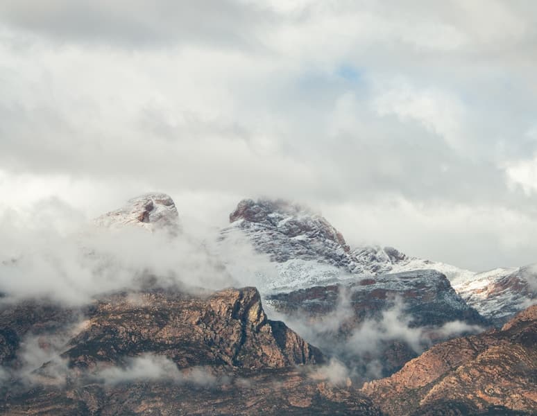 Feast of Sto. Tomas de Aquinas