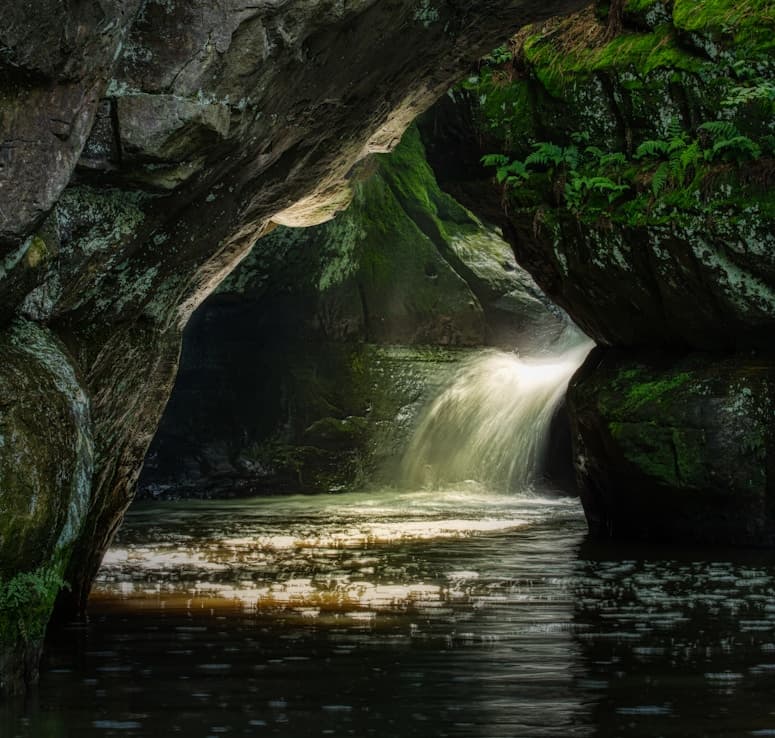 Feast of Our Lady of the Holy Rosary