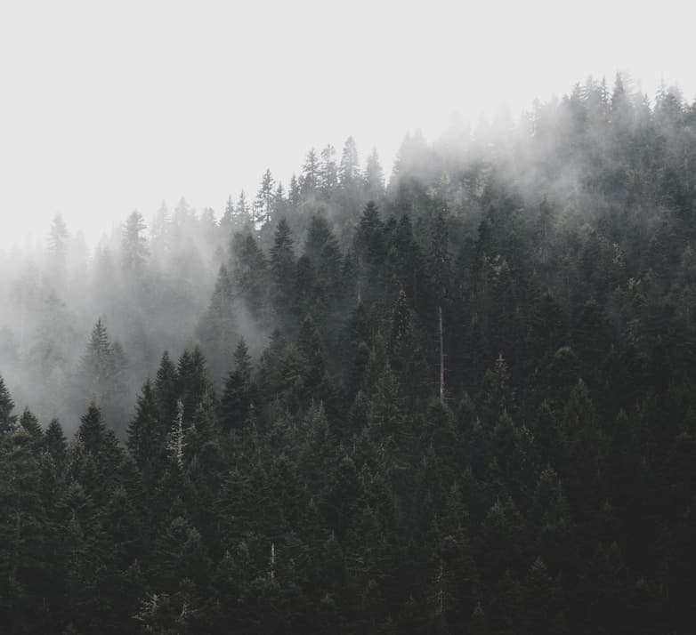 Feast of Sta. Ines de Monte Policiano