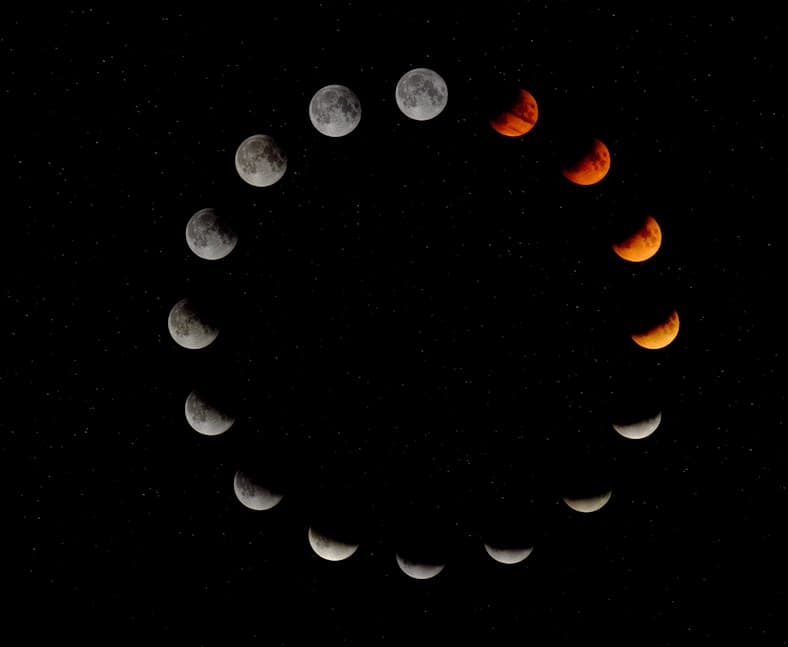 Harvest Season for Garlic