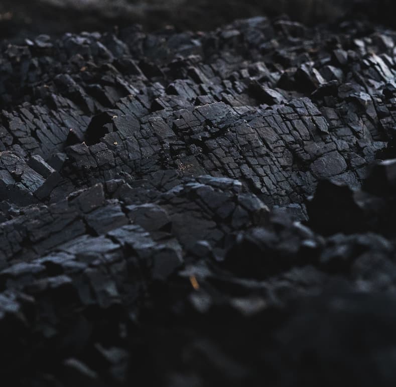 Akus Festival Foundation Day