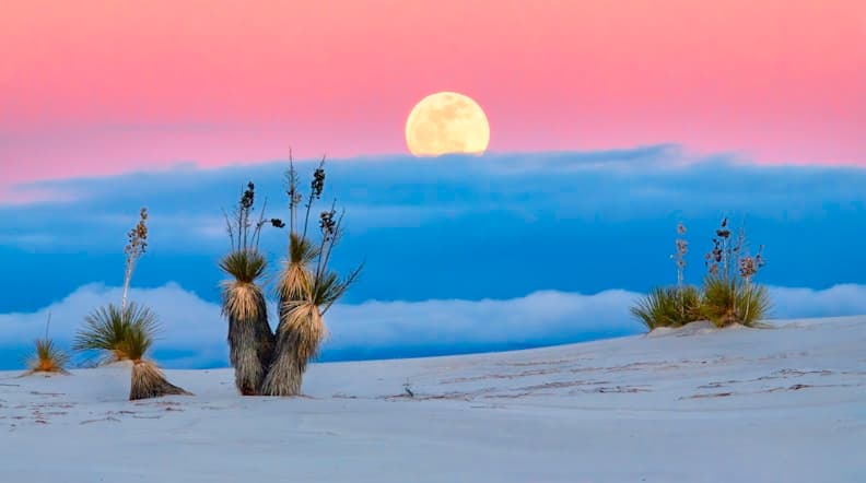 Feast of our Lady of Lourdes