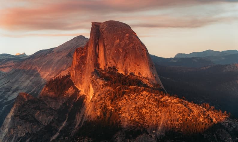 Harvest Season for Garlic