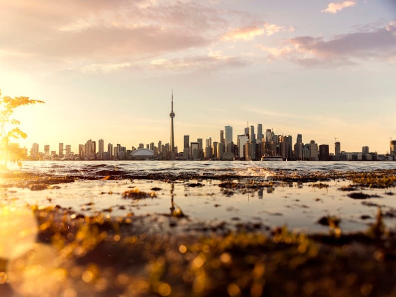 Feast of Saint Joseph